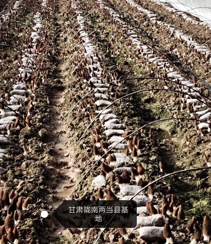 &#66;&#20307;&#32946;&#65288;&#66;&#83;&#112;&#111;&#114;&#116;&#115;&#65289;&#23448;&#26041;&#32593;&#31449;