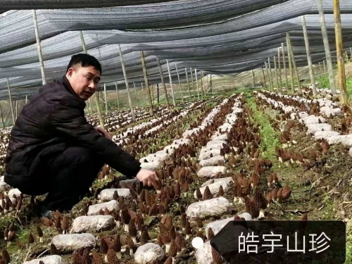 &#66;&#20307;&#32946;&#65288;&#66;&#83;&#112;&#111;&#114;&#116;&#115;&#65289;&#23448;&#26041;&#32593;&#31449;