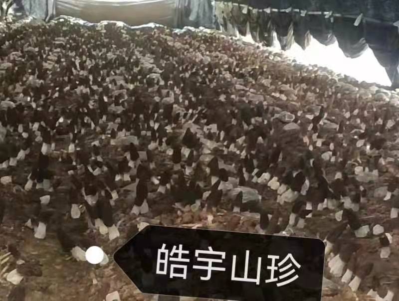&#66;&#20307;&#32946;&#65288;&#66;&#83;&#112;&#111;&#114;&#116;&#115;&#65289;&#23448;&#26041;&#32593;&#31449;