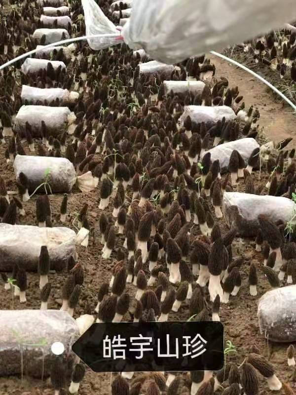 &#66;&#20307;&#32946;&#65288;&#66;&#83;&#112;&#111;&#114;&#116;&#115;&#65289;&#23448;&#26041;&#32593;&#31449;