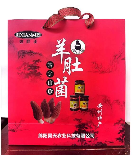 &#66;&#20307;&#32946;&#65288;&#66;&#83;&#112;&#111;&#114;&#116;&#115;&#65289;&#23448;&#26041;&#32593;&#31449;