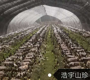 &#66;&#20307;&#32946;&#65288;&#66;&#83;&#112;&#111;&#114;&#116;&#115;&#65289;&#23448;&#26041;&#32593;&#31449;