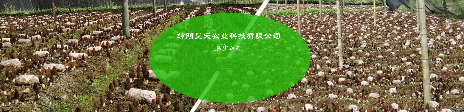 &#66;&#20307;&#32946;&#65288;&#66;&#83;&#112;&#111;&#114;&#116;&#115;&#65289;&#23448;&#26041;&#32593;&#31449;