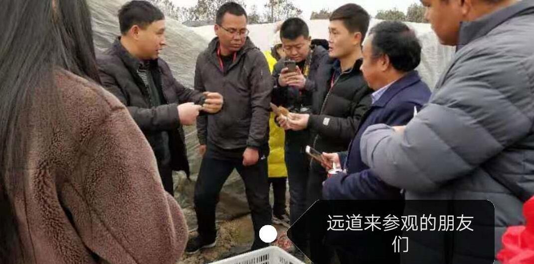 &#66;&#20307;&#32946;&#65288;&#66;&#83;&#112;&#111;&#114;&#116;&#115;&#65289;&#23448;&#26041;&#32593;&#31449;