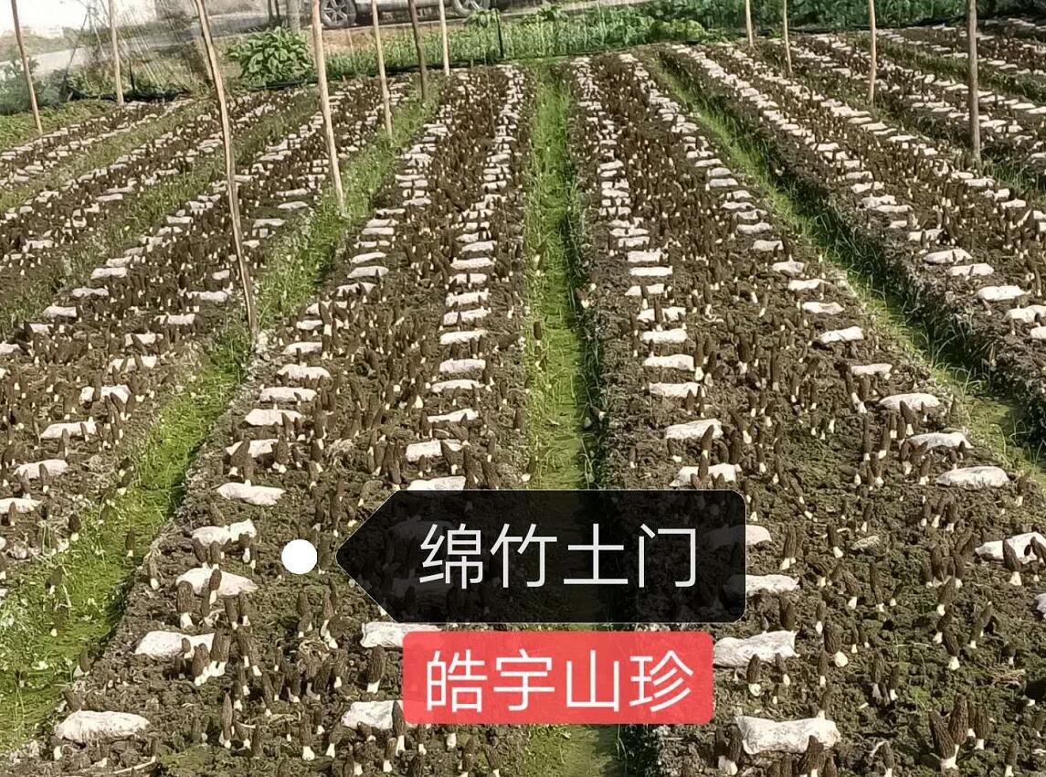 &#66;&#20307;&#32946;&#65288;&#66;&#83;&#112;&#111;&#114;&#116;&#115;&#65289;&#23448;&#26041;&#32593;&#31449;