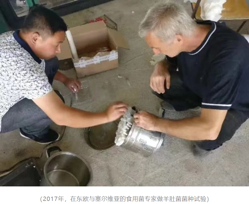 &#66;&#20307;&#32946;&#65288;&#66;&#83;&#112;&#111;&#114;&#116;&#115;&#65289;&#23448;&#26041;&#32593;&#31449;