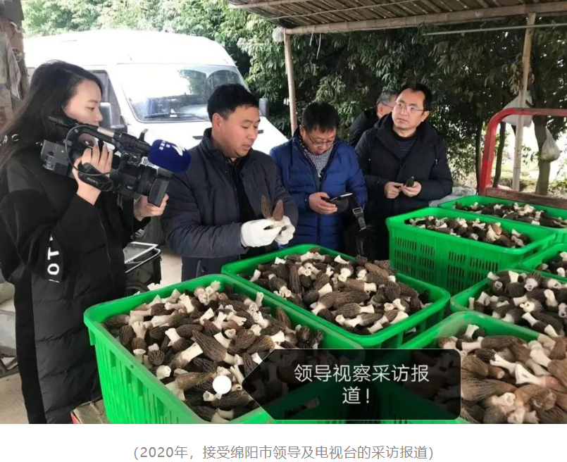 &#66;&#20307;&#32946;&#65288;&#66;&#83;&#112;&#111;&#114;&#116;&#115;&#65289;&#23448;&#26041;&#32593;&#31449;