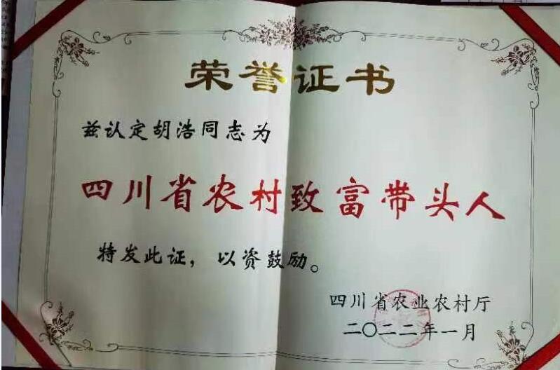 &#66;&#20307;&#32946;&#65288;&#66;&#83;&#112;&#111;&#114;&#116;&#115;&#65289;&#23448;&#26041;&#32593;&#31449;